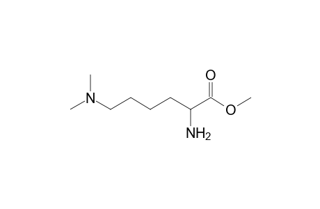 2-Amino-6-(dimethylamino)hexanoic acid methyl ester
