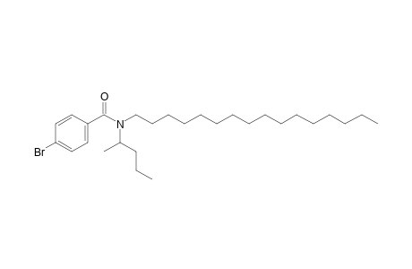 Benzamide, 4-bromo-N-(2-pentyl)-N-hexadecyl-