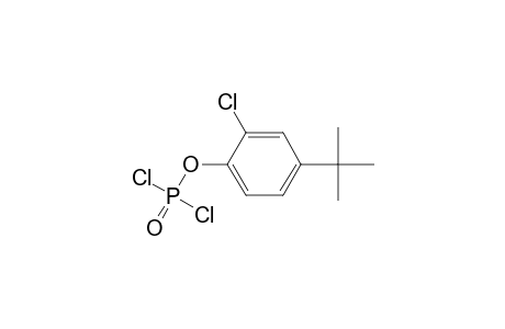 Phosphorodichloridic acid, 2-chloro-4-(1,1-dimethylethyl)phenyl ester