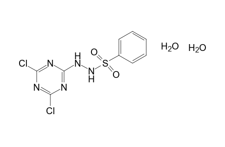 benzenesulfonic acid, 2-(4,6-dichloro-s-triazin-2-yl)hydrazide, dihydrate