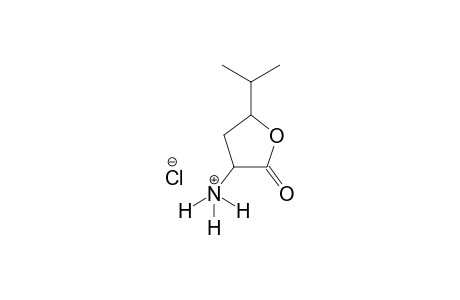 2-ISOPROPYL-1-OXOTETRAHYDROFURANYL-4-AMINO-HYDROCHLORIDE