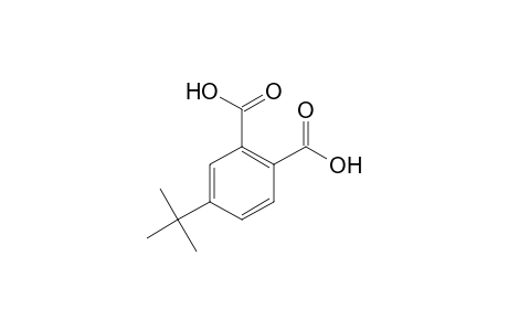 1,2-Benzenedicarboxylic acid, 4-(1,1-dimethylethyl)-