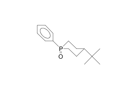 trans-4-tert-Butyl-1-phenyl-phosphorinane 1-oxide