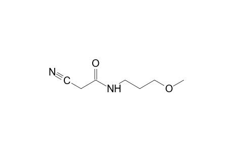 2-cyano-N-(3-methoxypropyl)acetamide