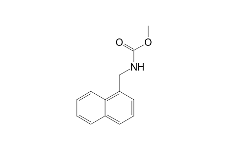 Methyl N-(naphthalen-1-ylmethyl)carbamate