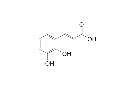 (E)-3-(2,3-dihydroxyphenyl)-2-propenoic acid