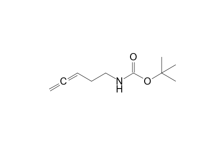 N-penta-3,4-dienylcarbamic acid tert-butyl ester