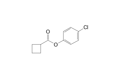 Cyclobutanecarboxylic acid, 4-chlorophenyl ester