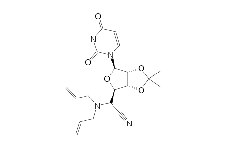 R-2',3'-O-ISOPROPYLIDENE-5'-CYANO-5'-N-DIALLYL-5'-DEOXYURIDINE