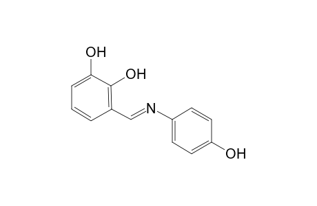 3-[(4-hydroxy-phenylimino)-methyl]-benzene-1,2-diol