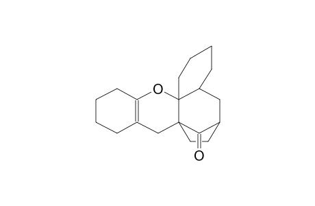 20-OXO-9-OXAPENTACYCLO[16.2.1.0(3,8).0(8,17).0(10,15)]HENEICOS-10(15)-ENE