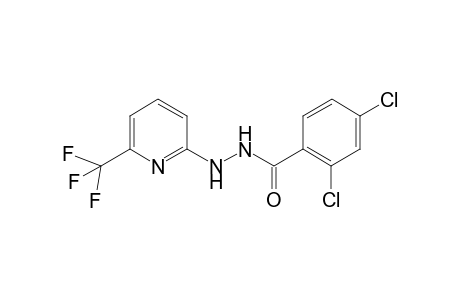 Benzhydrazide, 2,4-dichloro-N2-(6-trifluoromethyl-2-pyridyl)-