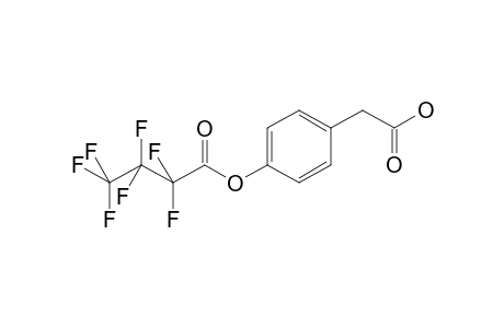 4-Hydroxyphenylacetic acid HFB      @