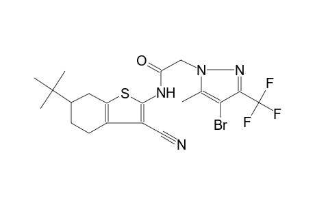 2-[4-bromo-5-methyl-3-(trifluoromethyl)-1H-pyrazol-1-yl]-N-(6-tert-butyl-3-cyano-4,5,6,7-tetrahydro-1-benzothien-2-yl)acetamide