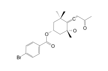 4-bromobenzoic acid [(1R,3R)-3-hydroxy-4-(3-ketobut-1-enylidene)-3,5,5-trimethyl-cyclohexyl] ester
