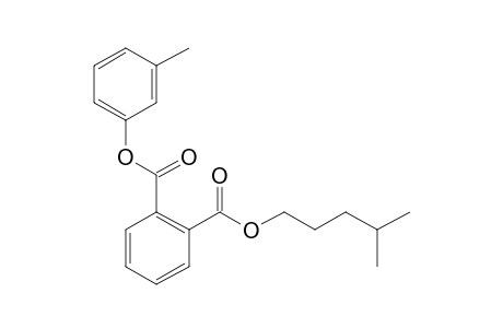 Phthalic acid, isohexyl 3-methylphenyl ester