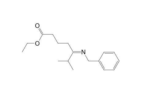 Ethyl 5-benzylimino-6-methylheptanoate