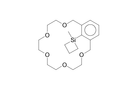 1,3-Xylyl-18-crown-5, 2-(1-methyl-1-silacyclobutyl)-