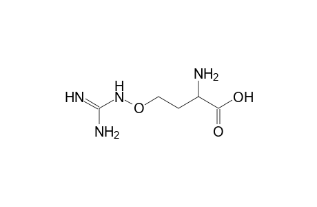 canavanine, 4TMS