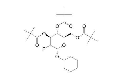 2-DEOXY-2-FLUORO-3,4,6-TRI-O-PIVALOYL-BETA-1-(CYCLOHEXYL)-D-GLUCOPYRANOSE