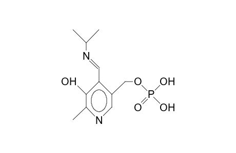 Pyridoxal phosphate isopropyl aldimine