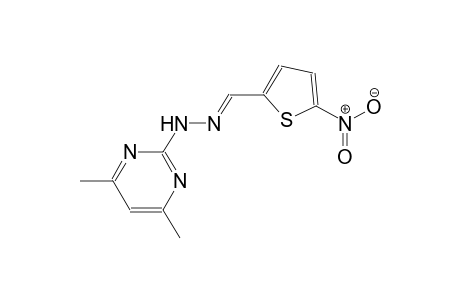 5-nitro-2-thiophenecarbaldehyde (4,6-dimethyl-2-pyrimidinyl)hydrazone