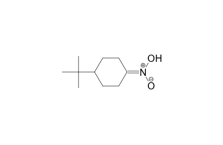 Cyclohexane, 1-(1,1-dimethylethyl)-4-aci-nitro-