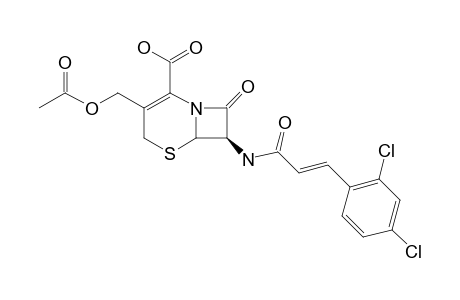 7-BETA-(2,4-DICHLOROCINNAMOYL)-AMINO-3-ACETOXYMETHYL-CEPHALOSPORINE