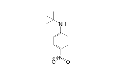 p-Nitro-N-tert-butylaniline