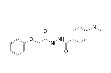 1-[p-(dimethylamino)benzoyl]-2-(phenoxyacetyl)hydrazine