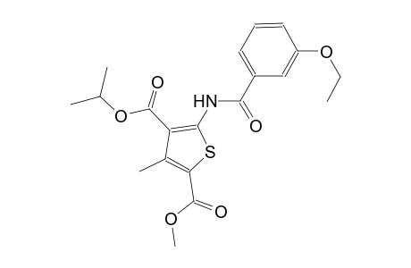 4-isopropyl 2-methyl 5-[(3-ethoxybenzoyl)amino]-3-methyl-2,4-thiophenedicarboxylate