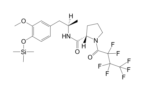 HMA, N-HFBP-O-TMS derivative