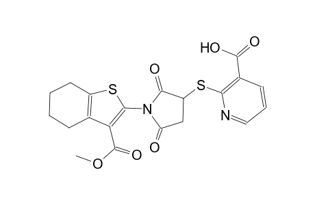2-({1-[3-(methoxycarbonyl)-4,5,6,7-tetrahydro-1-benzothien-2-yl]-2,5-dioxo-3-pyrrolidinyl}sulfanyl)nicotinic acid
