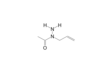(E)-1-ACETYL-1-ALLYLHYDRAZINE