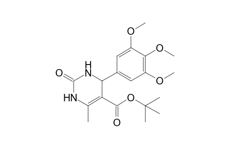 2-keto-6-methyl-4-(3,4,5-trimethoxyphenyl)-3,4-dihydro-1H-pyrimidine-5-carboxylic acid tert-butyl ester