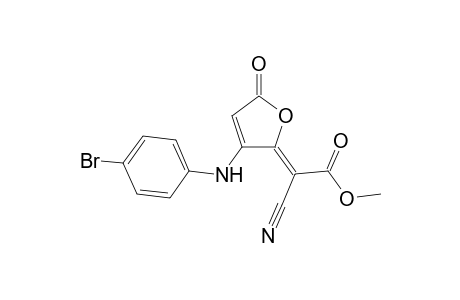 .beta.-(p-Bromoanilino)-.gamma.-cyanocarbomethoxymethylidene-.delta.(.alpha.,.beta.)-butenolide
