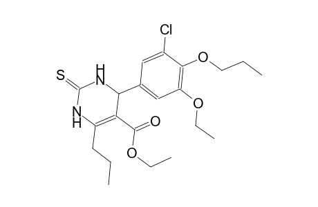 ethyl 4-(3-chloro-5-ethoxy-4-propoxyphenyl)-6-propyl-2-thioxo-1,2,3,4-tetrahydro-5-pyrimidinecarboxylate