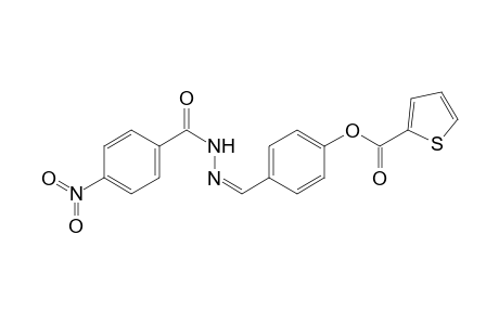 2-Furancarboxylic acid, 4-[(4-nitrobenzoyl)hydrazonomethyl]phenyl ester