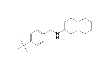 2-Naphthalenamine, N-[[4-(1,1-dimethylethyl)phenyl]methyl]decahydro-