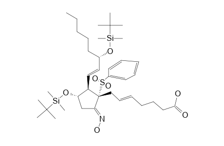 (5Z,13E,8R,11R,12S,15S)-11,15-BIS-(TERT.-BUTYLDIMETHYLSILOXY)-9-(ANTI-OXIMINO)-8-(PHENYLSULFONYL)-5,13-PROSTADIENOIC-ACID