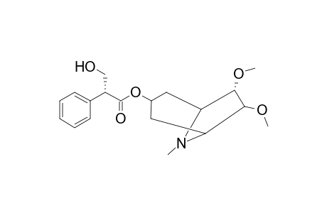 6-0-methyl-7-methoxyanisodamine