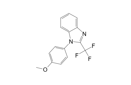 1-(4-Methoxyphenyl)-2-(trifluoromethyl)benzimidazole