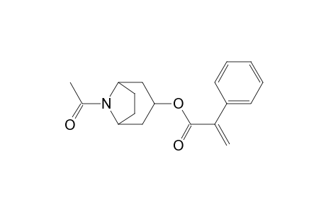 N-Acetyl Norapoatropine
