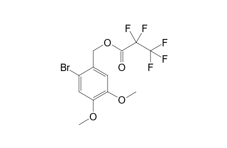 2-Bromo-4,5-dimethoxybenzyl alcohol PFP