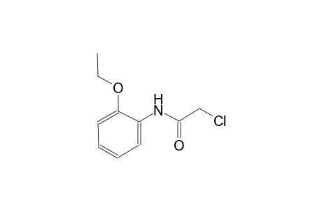 2-chloro-N-(2-ethoxyphenyl)acetamide