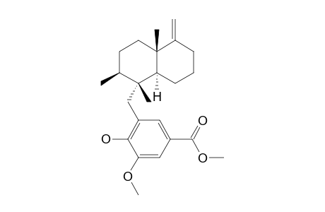 Polyfibrospongol A