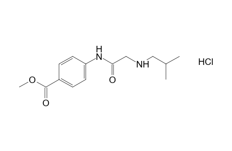p-[2-(isobutylamino)acetamido]benzoic acid, methyl ester, hydrochloride