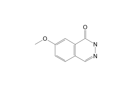 7-METHOXY-1(2H)-PHTHALAZINONE