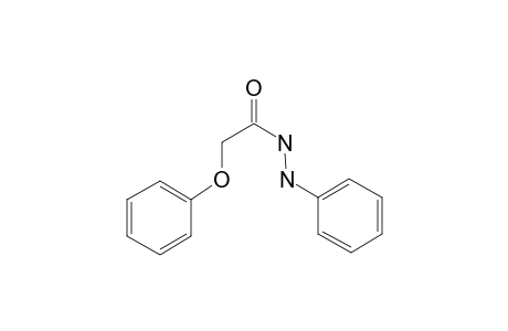 Phenoxy-acetic acid N'-phenyl-hydrazide