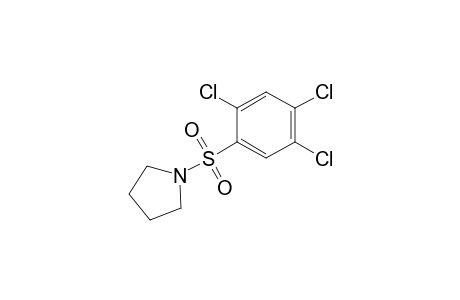 1-[(2,4,5-trichlorophenyl)sulfonyl]pyrrolidine